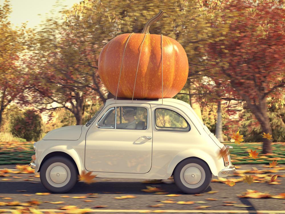 Sur les routes en automne